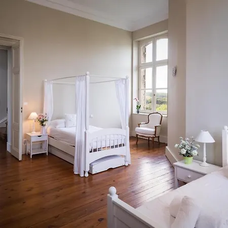 Chateau Lasfargues - Exclusive Fairytale Castle - Pool, Games Room, Holiday home Laugnac
